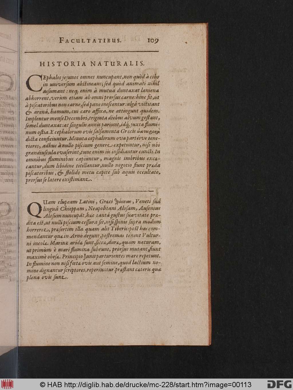 http://diglib.hab.de/drucke/mc-228/00113.jpg