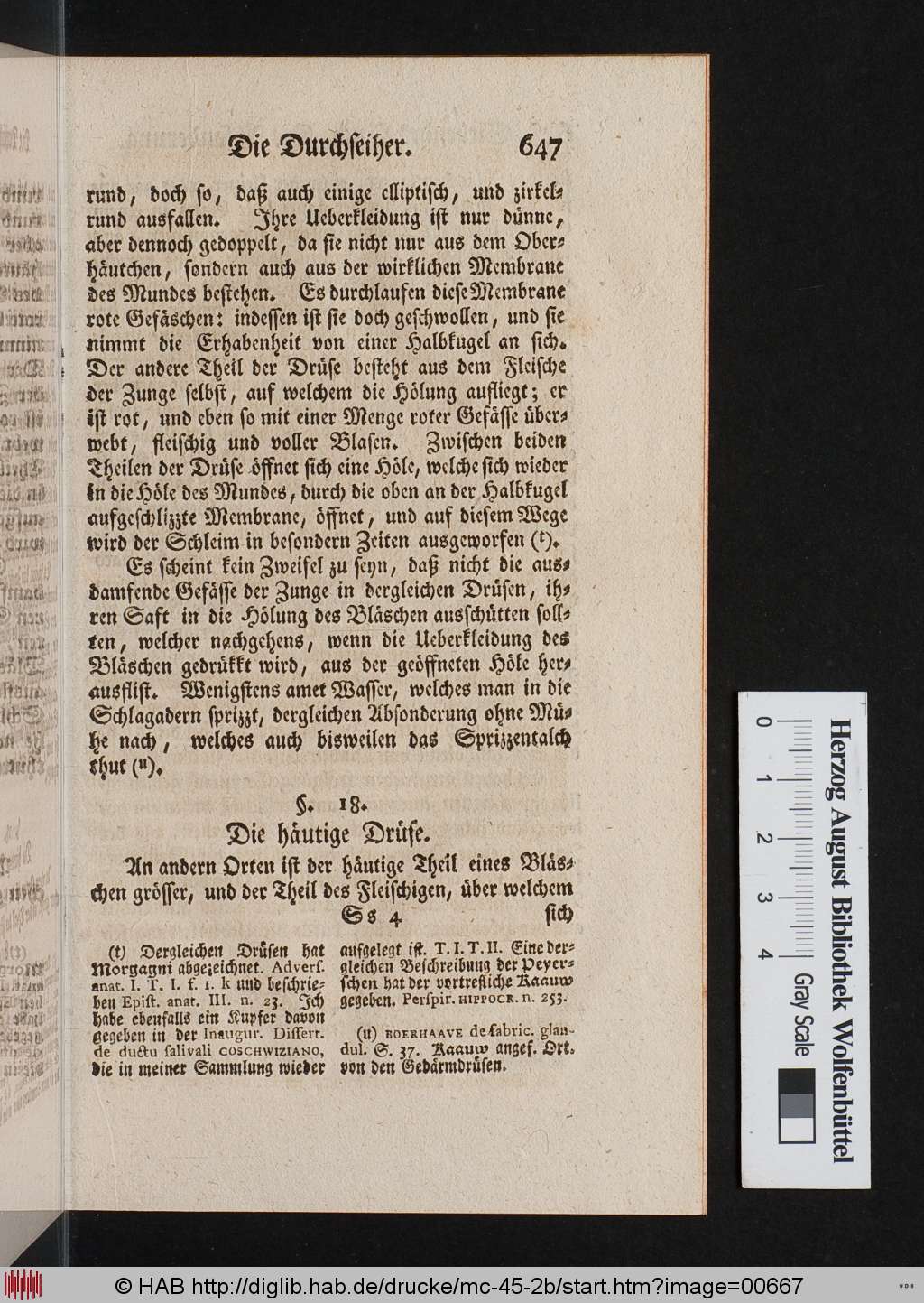 http://diglib.hab.de/drucke/mc-45-2b/00667.jpg