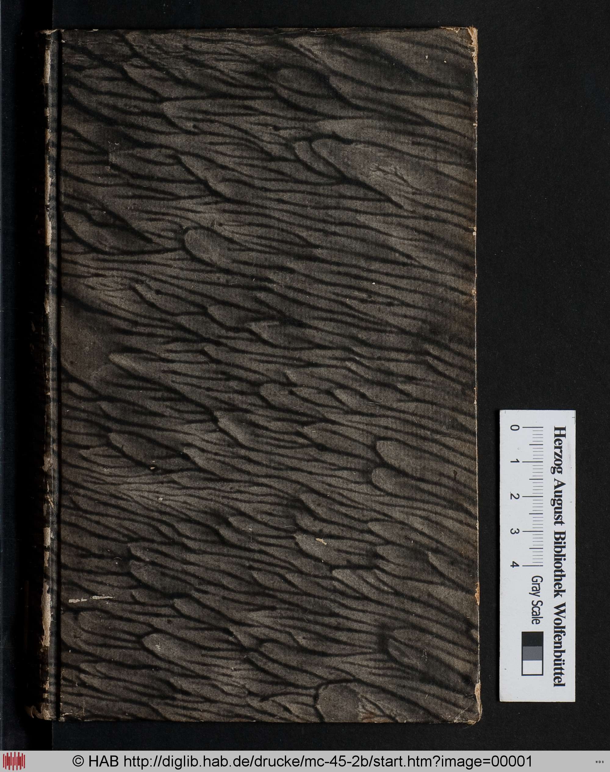 http://diglib.hab.de/drucke/mc-45-2b/max/00001.jpg
