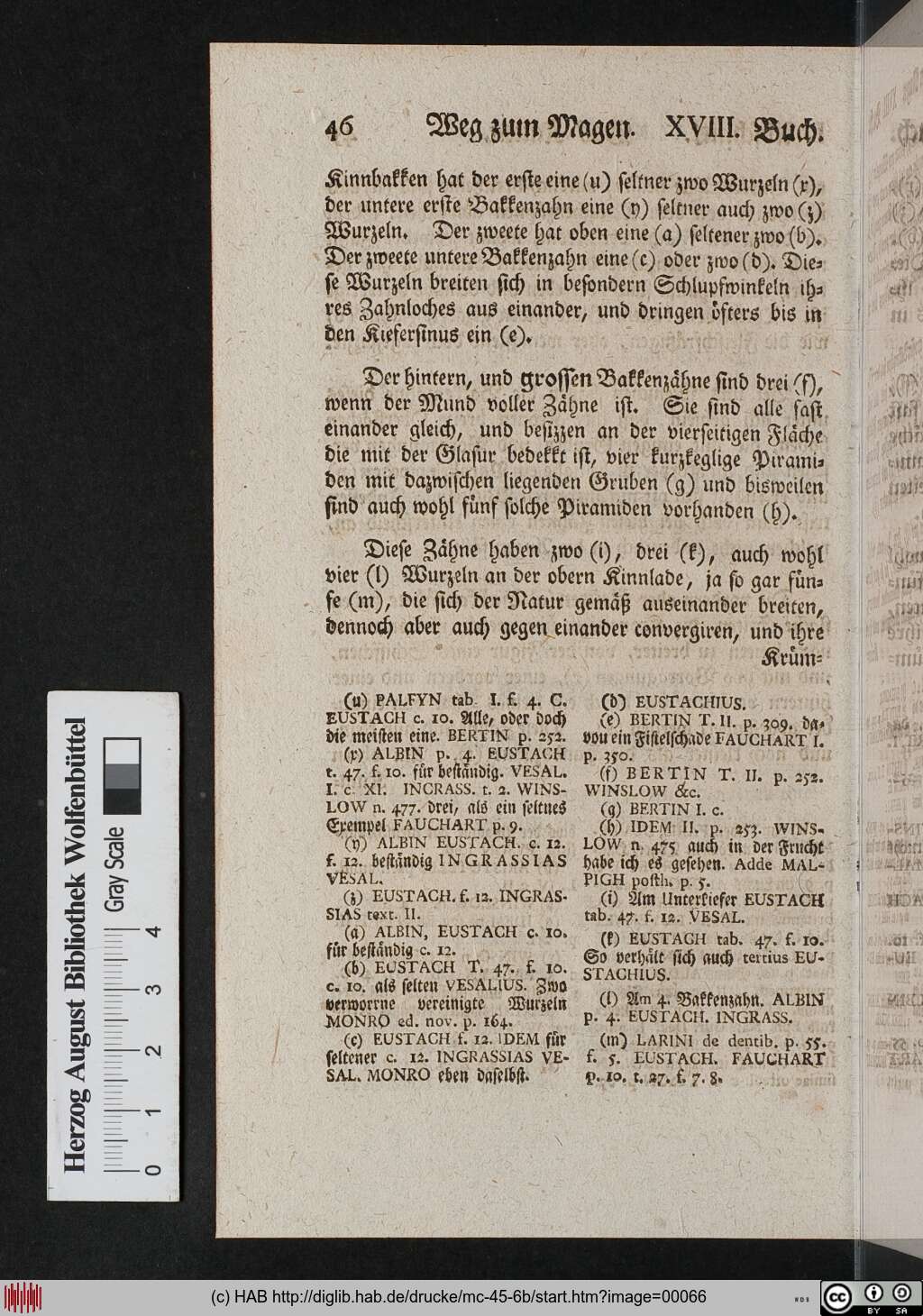 http://diglib.hab.de/drucke/mc-45-6b/00066.jpg