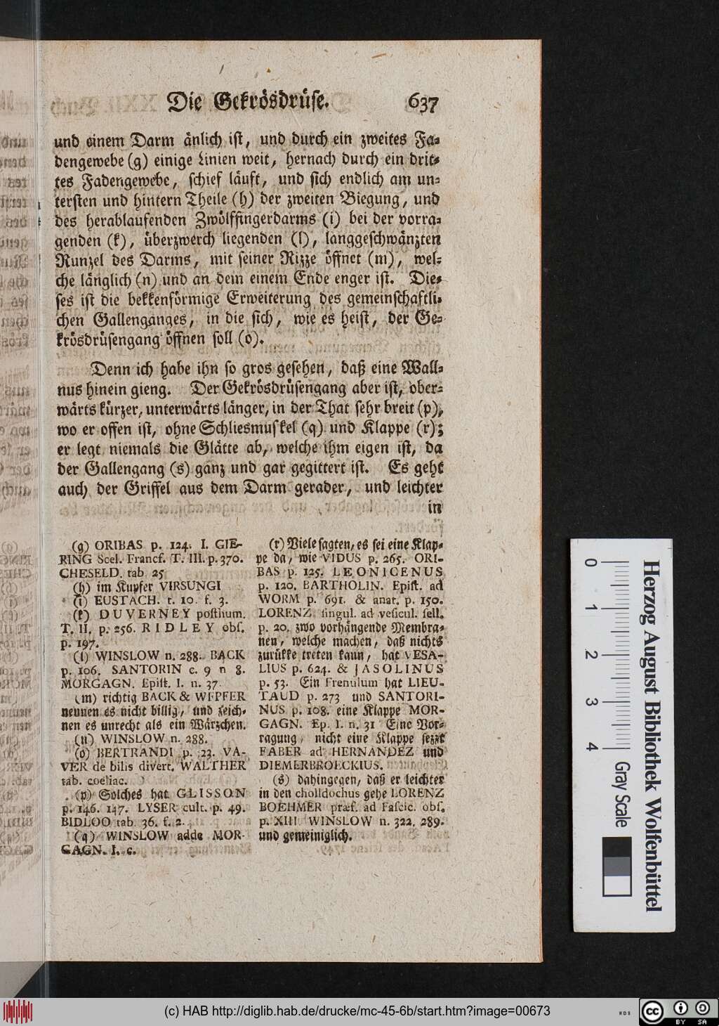 http://diglib.hab.de/drucke/mc-45-6b/00673.jpg