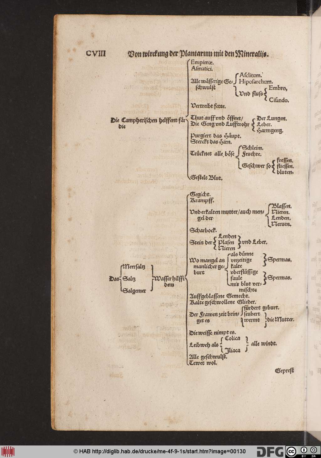 http://diglib.hab.de/drucke/me-4f-9-1s/00130.jpg