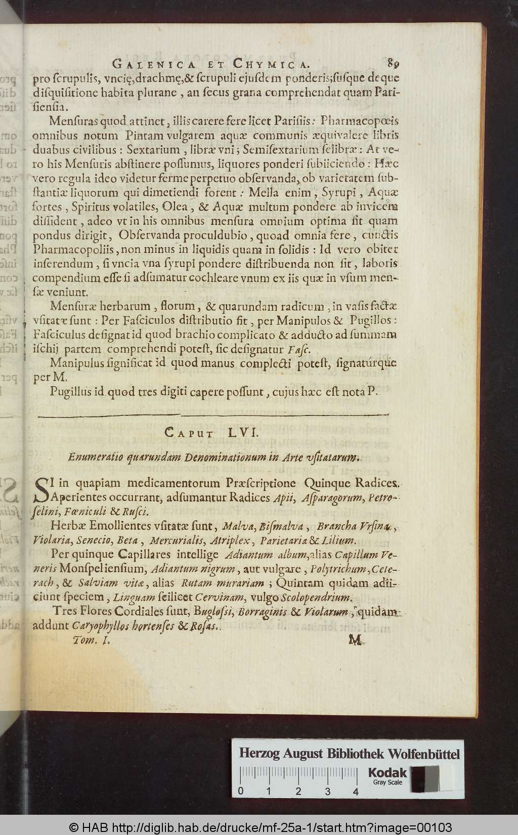 http://diglib.hab.de/drucke/mf-25a-1/00103.jpg