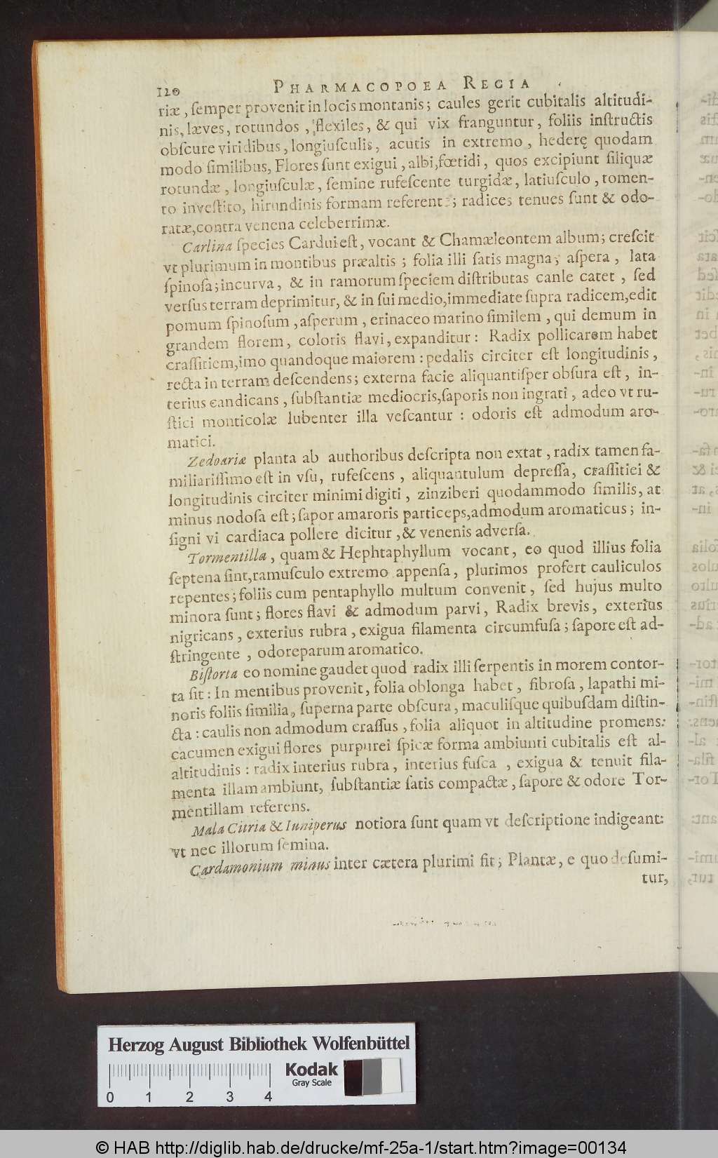 http://diglib.hab.de/drucke/mf-25a-1/00134.jpg