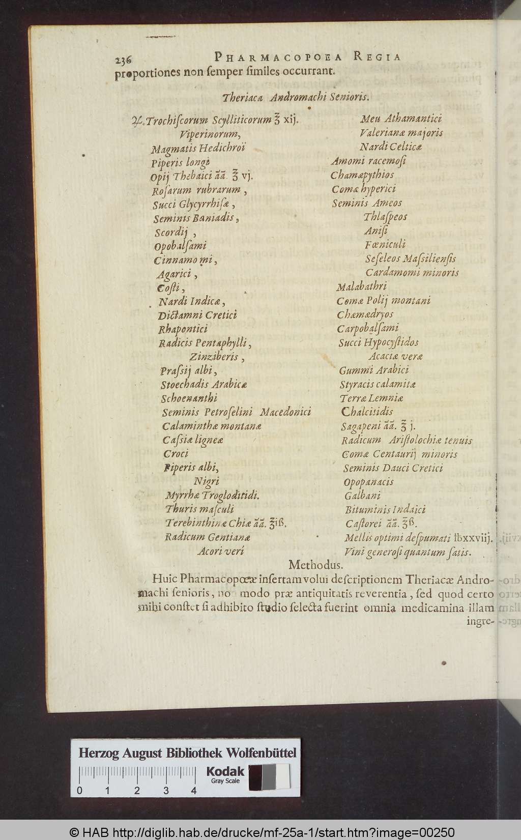 http://diglib.hab.de/drucke/mf-25a-1/00250.jpg
