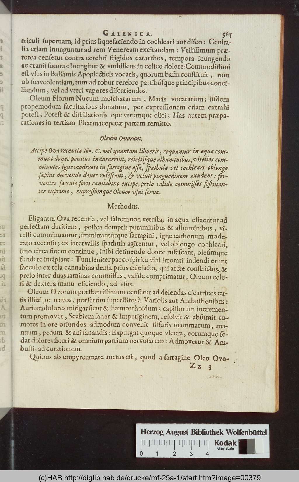 http://diglib.hab.de/drucke/mf-25a-1/00379.jpg