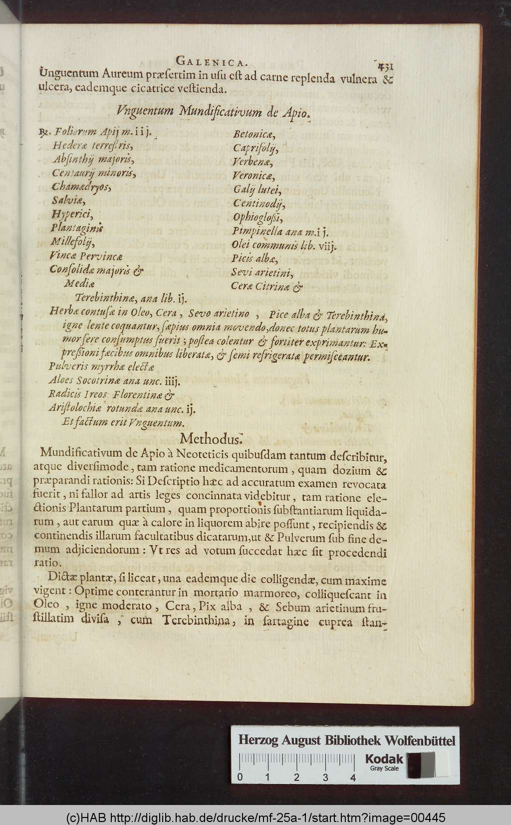 http://diglib.hab.de/drucke/mf-25a-1/00445.jpg