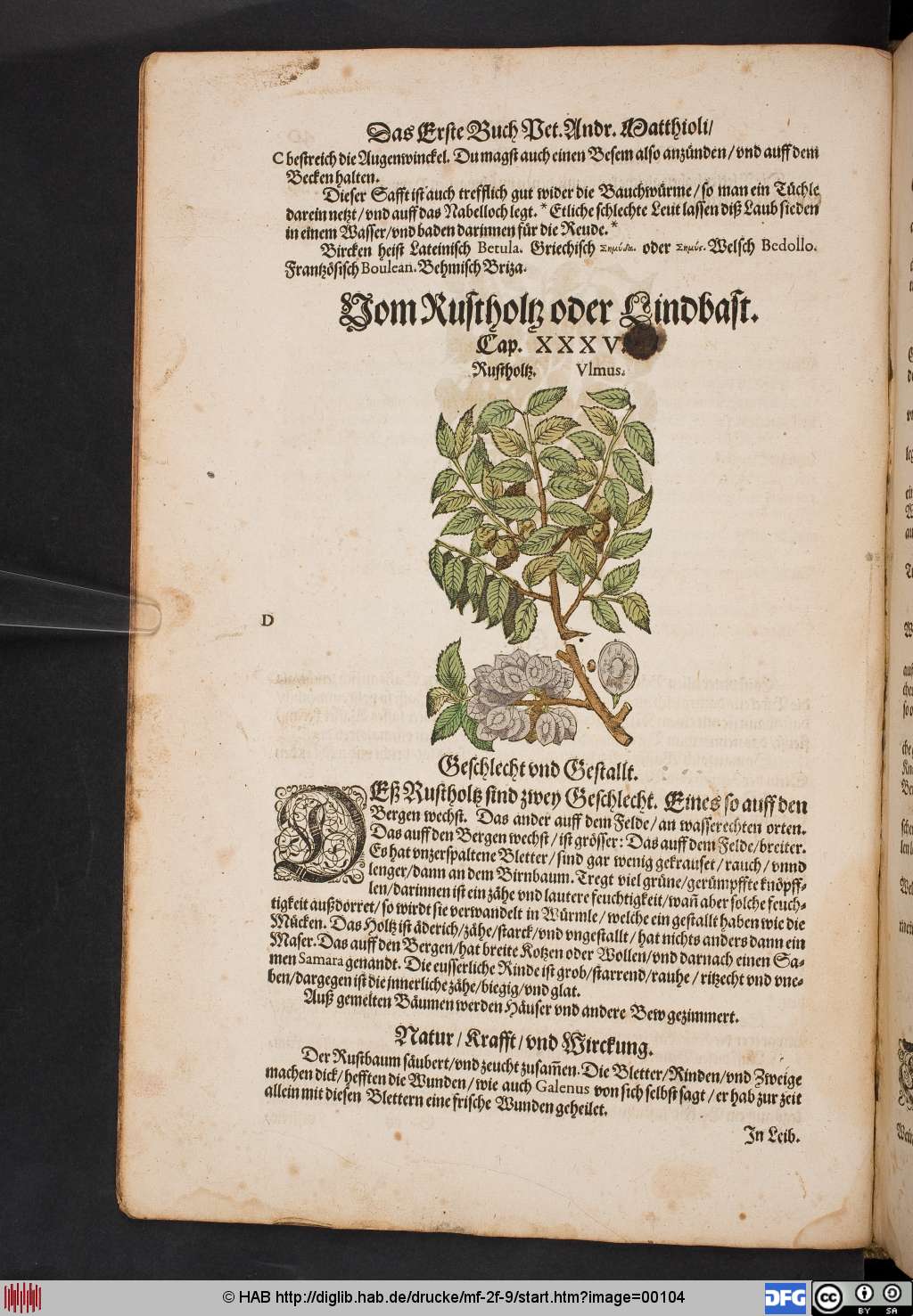 http://diglib.hab.de/drucke/mf-2f-9/00104.jpg