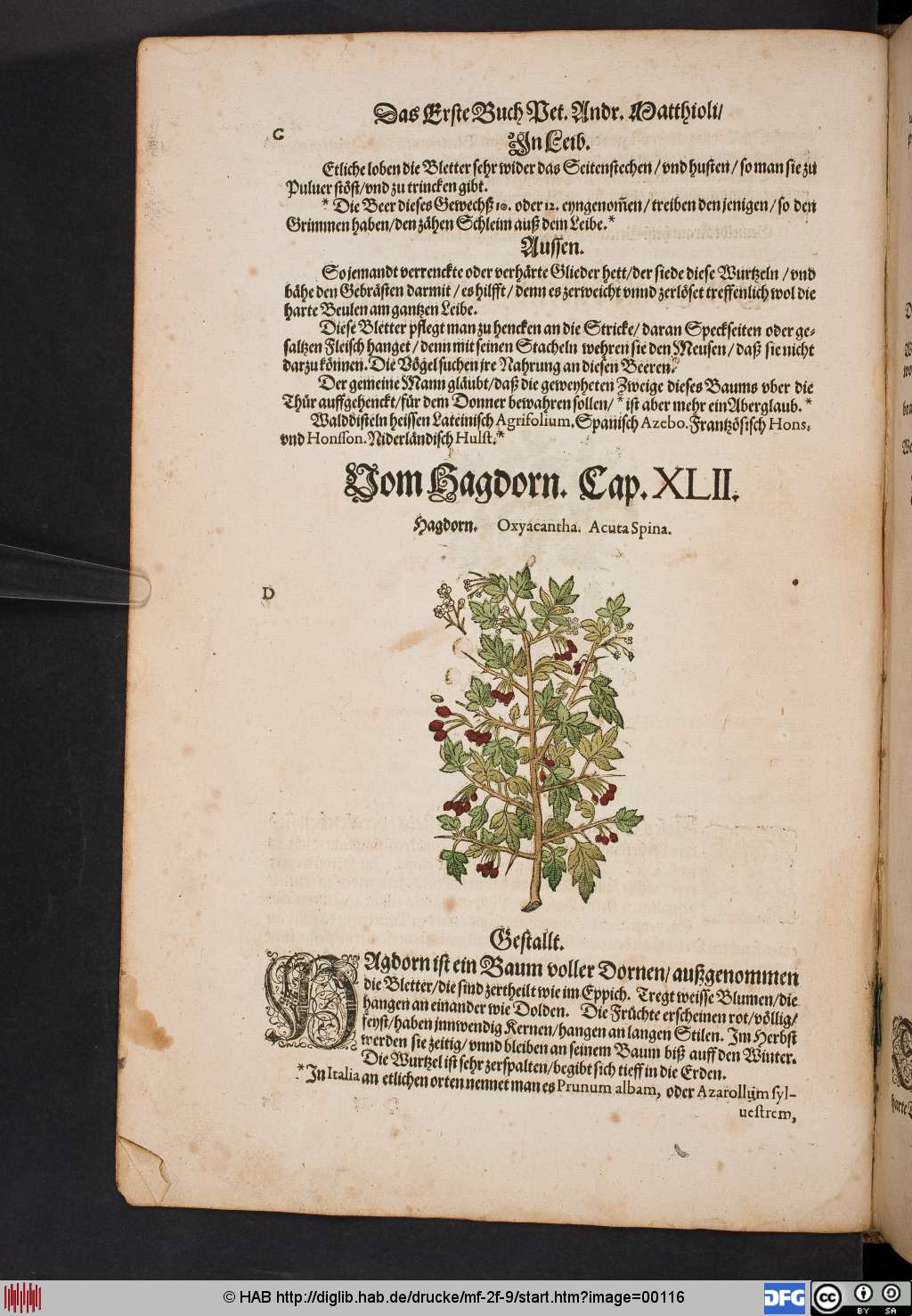 http://diglib.hab.de/drucke/mf-2f-9/00116.jpg