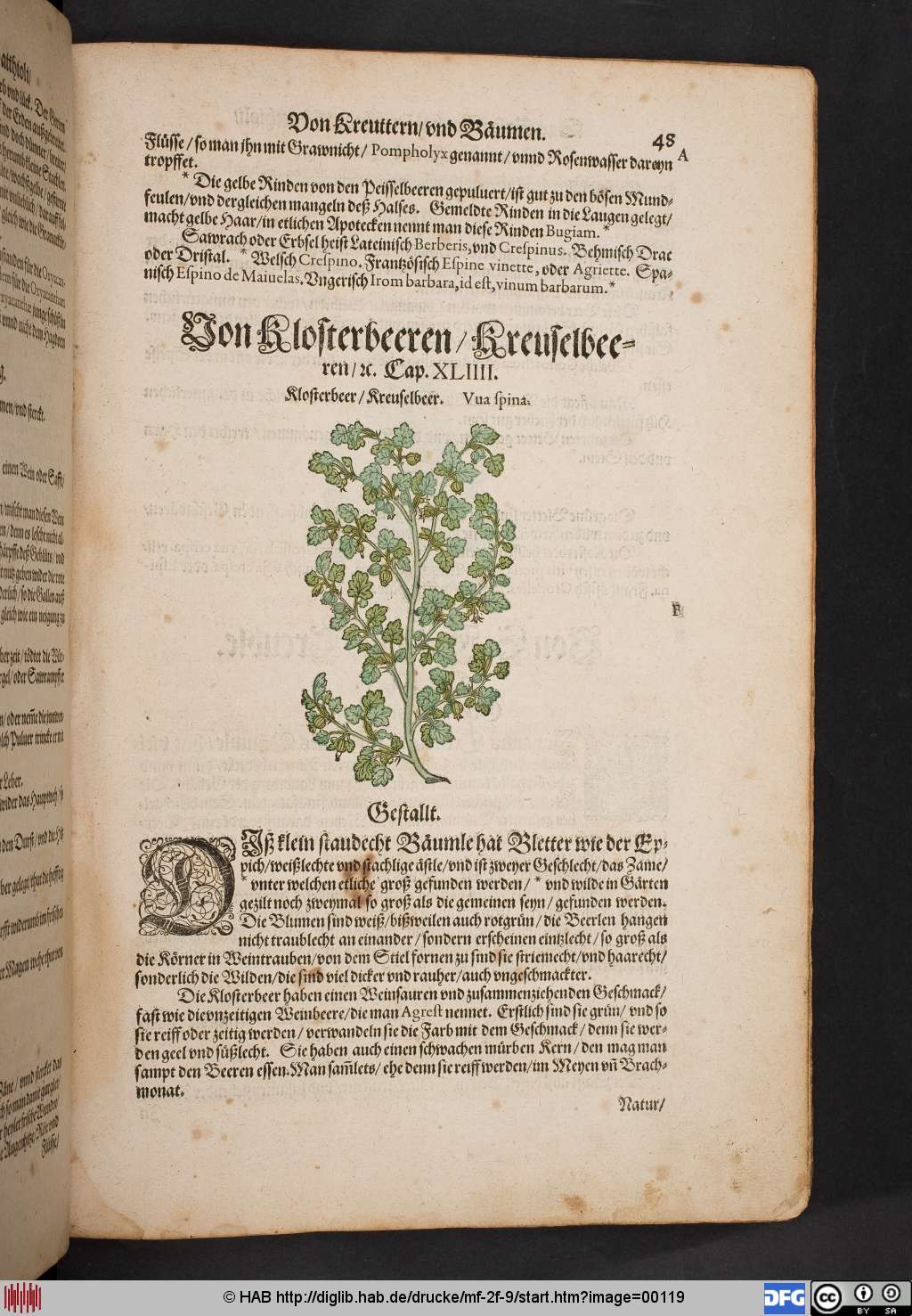 http://diglib.hab.de/drucke/mf-2f-9/00119.jpg