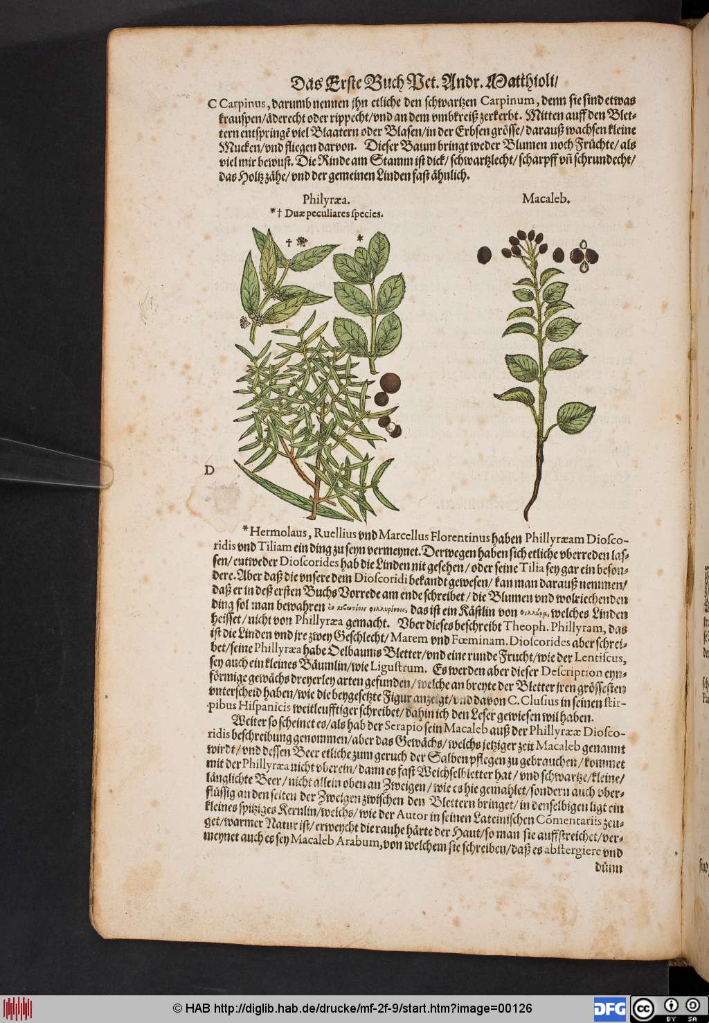 http://diglib.hab.de/drucke/mf-2f-9/00126.jpg