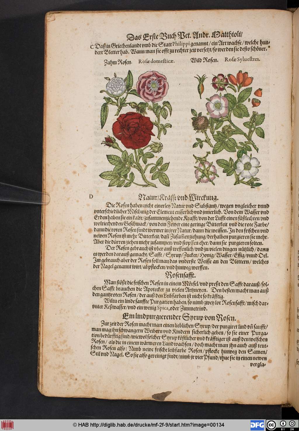 http://diglib.hab.de/drucke/mf-2f-9/00134.jpg