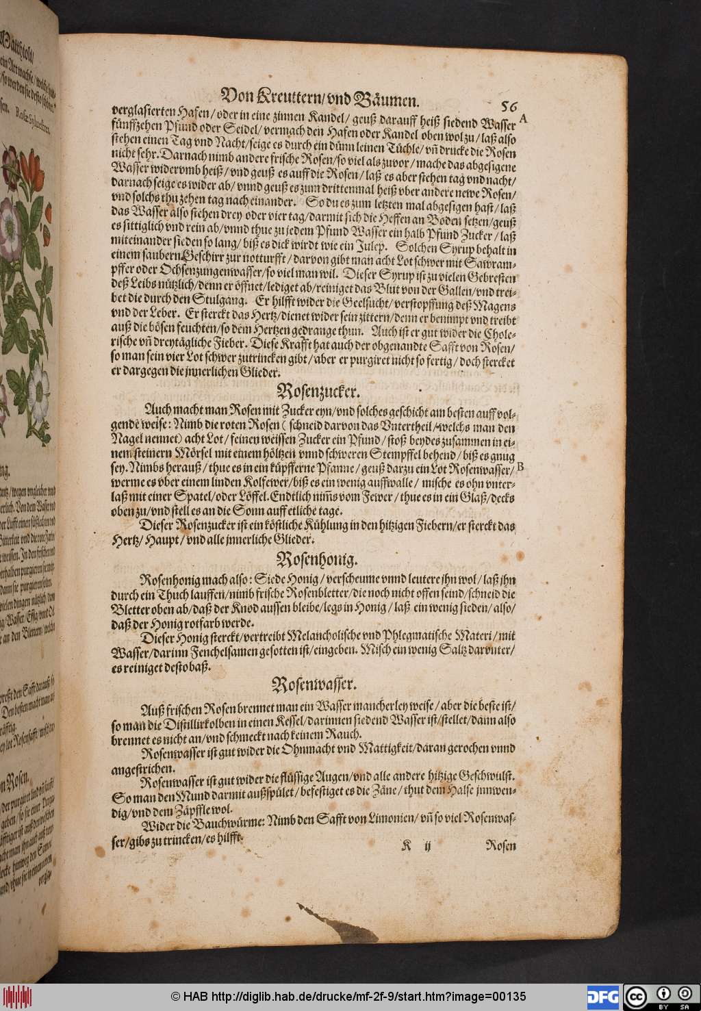http://diglib.hab.de/drucke/mf-2f-9/00135.jpg