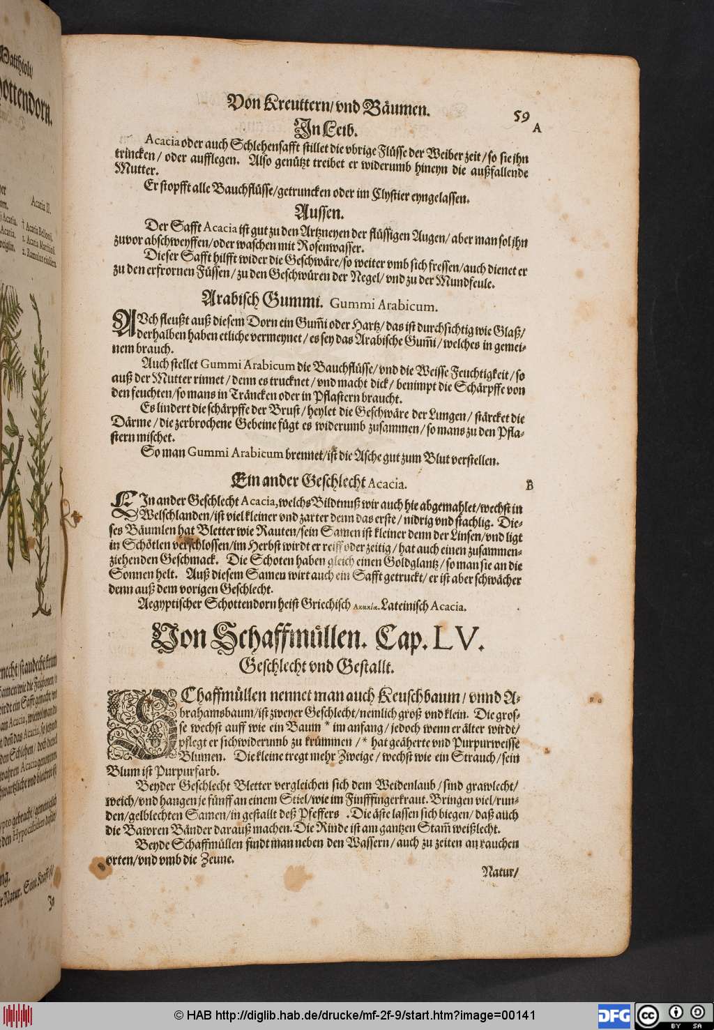 http://diglib.hab.de/drucke/mf-2f-9/00141.jpg