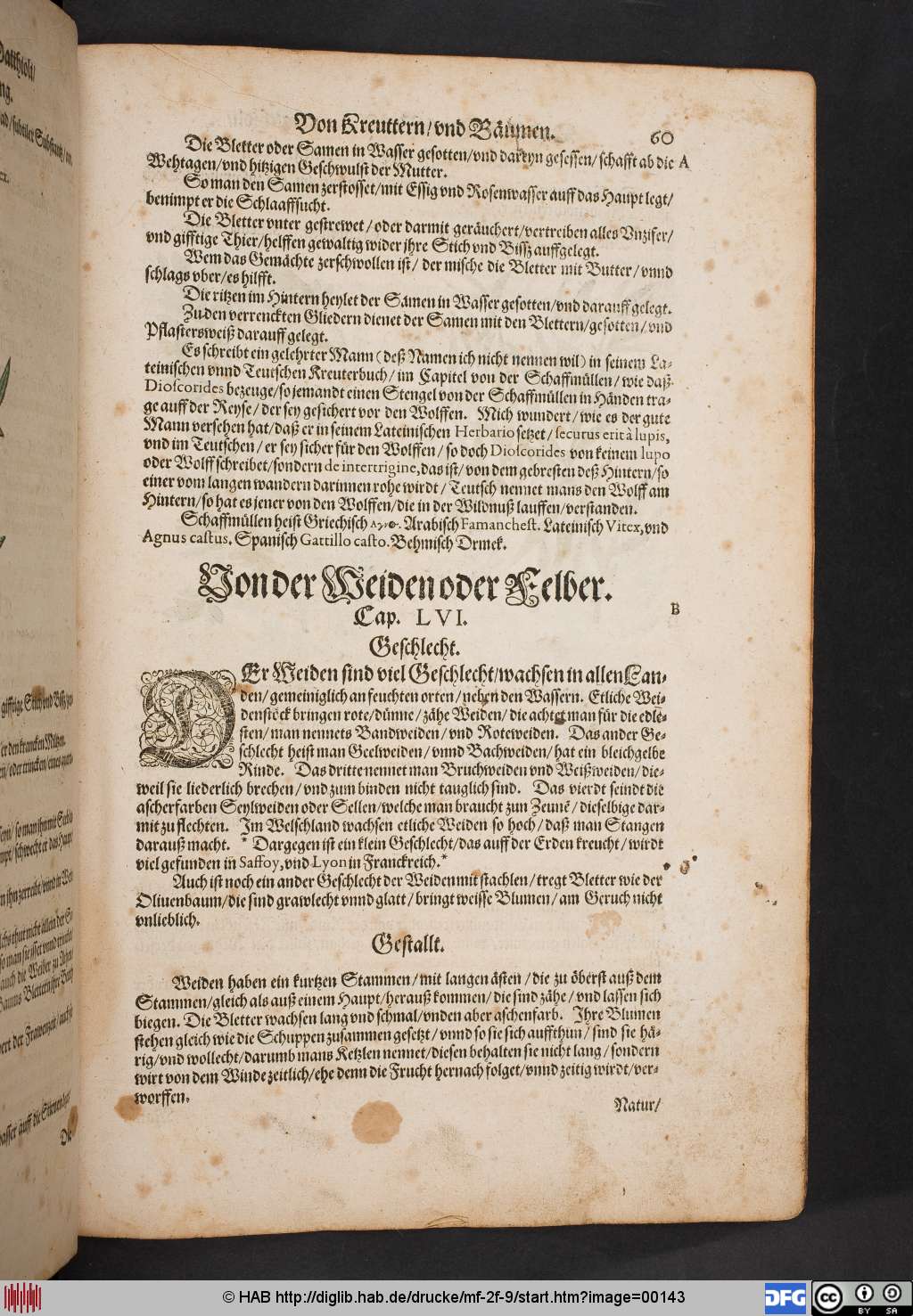 http://diglib.hab.de/drucke/mf-2f-9/00143.jpg