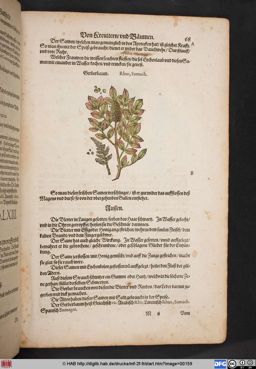 http://diglib.hab.de/drucke/mf-2f-9/00159.jpg