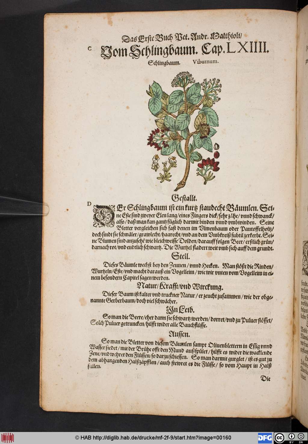 http://diglib.hab.de/drucke/mf-2f-9/00160.jpg