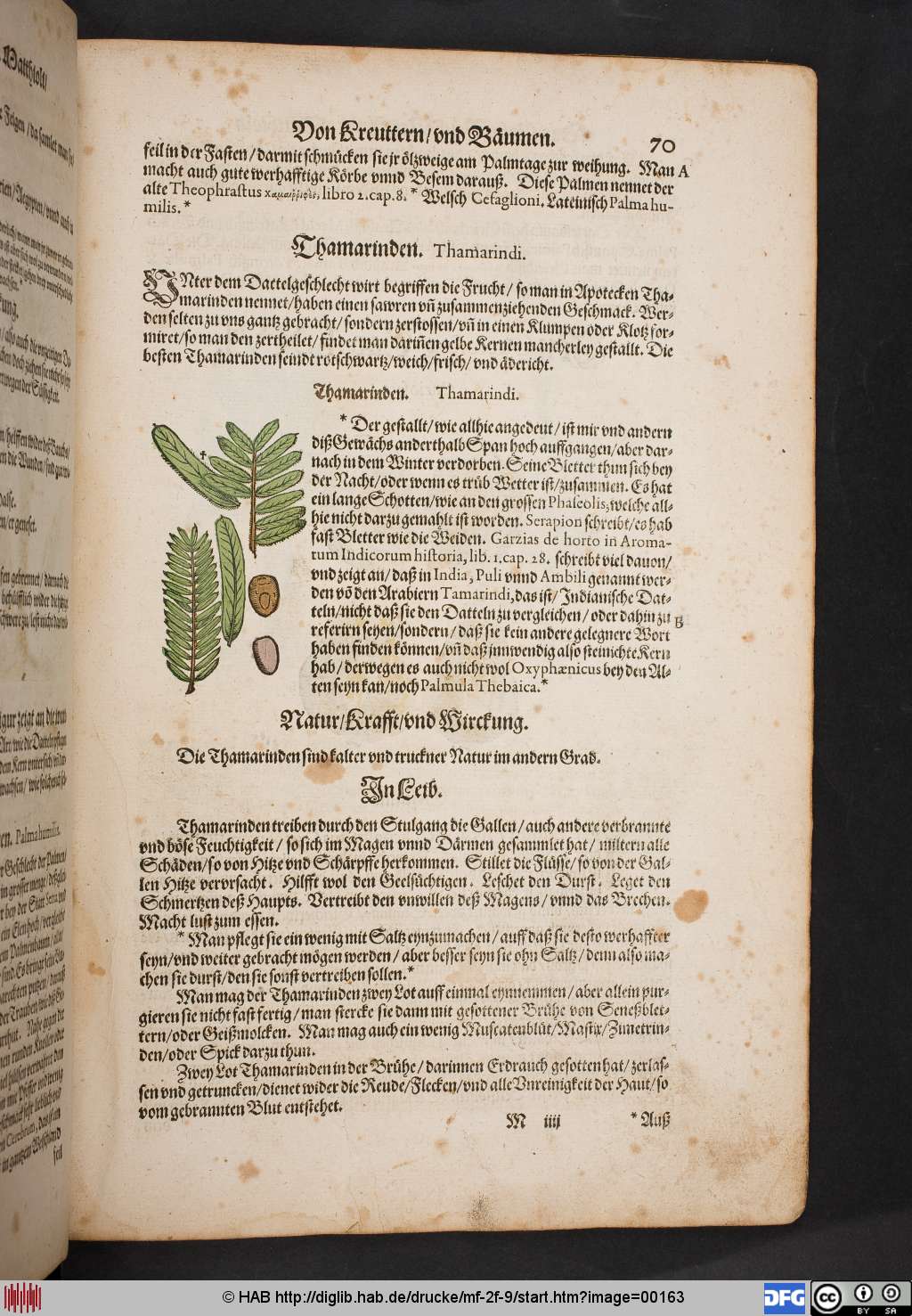 http://diglib.hab.de/drucke/mf-2f-9/00163.jpg
