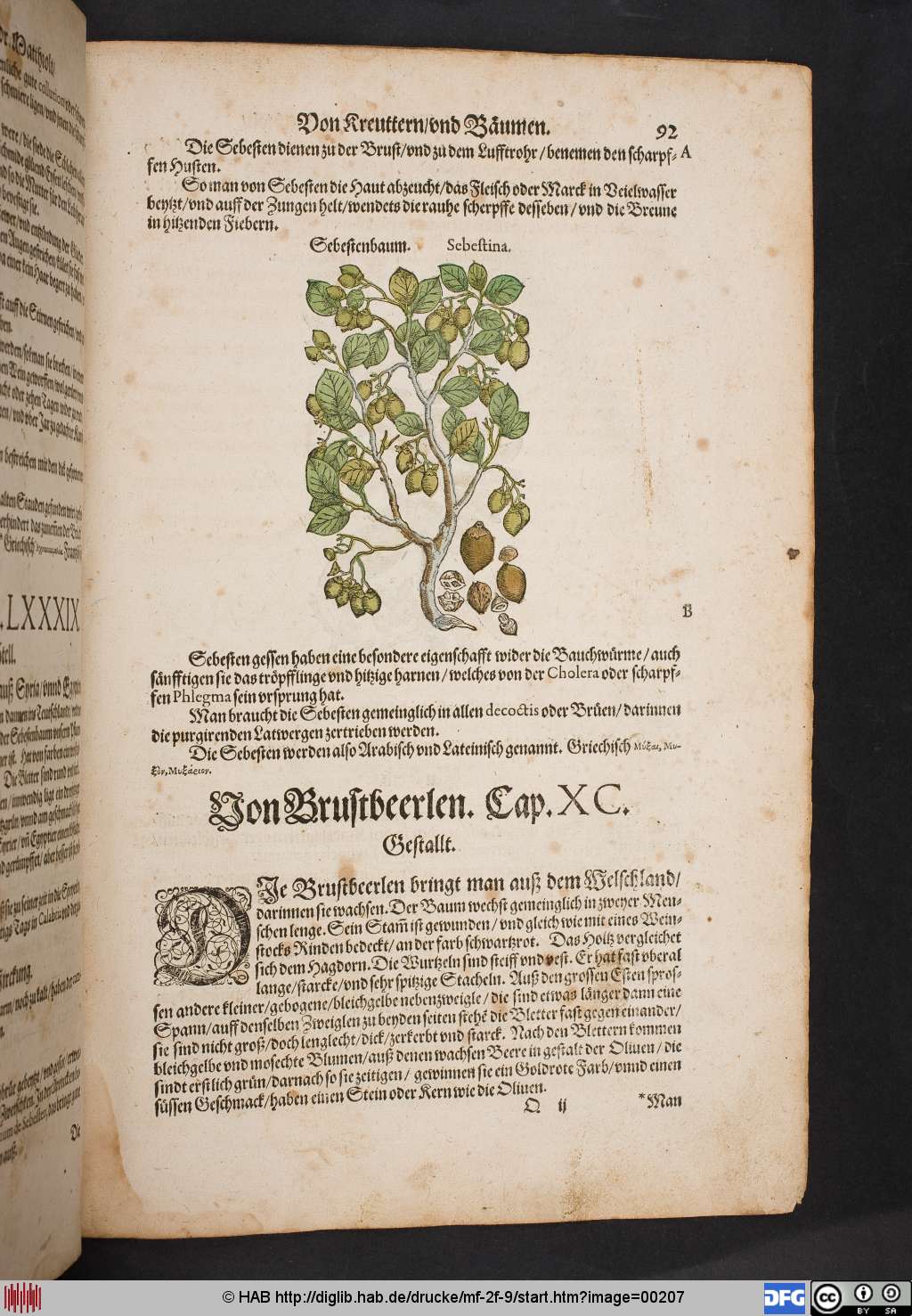 http://diglib.hab.de/drucke/mf-2f-9/00207.jpg