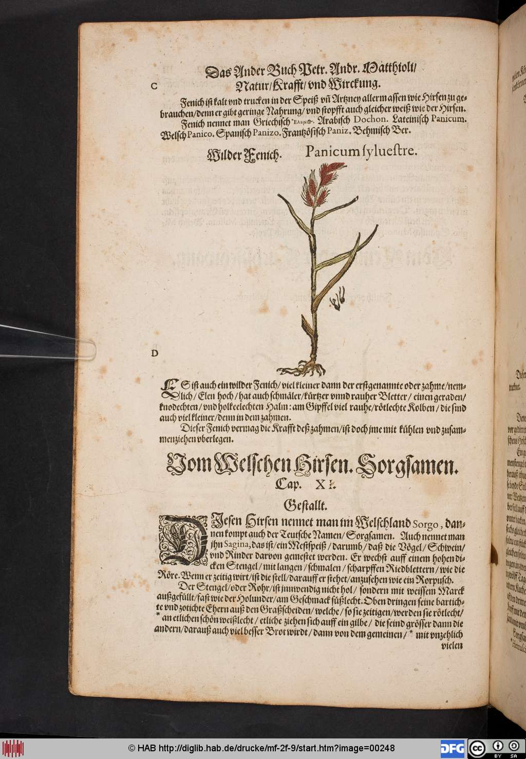 http://diglib.hab.de/drucke/mf-2f-9/00248.jpg