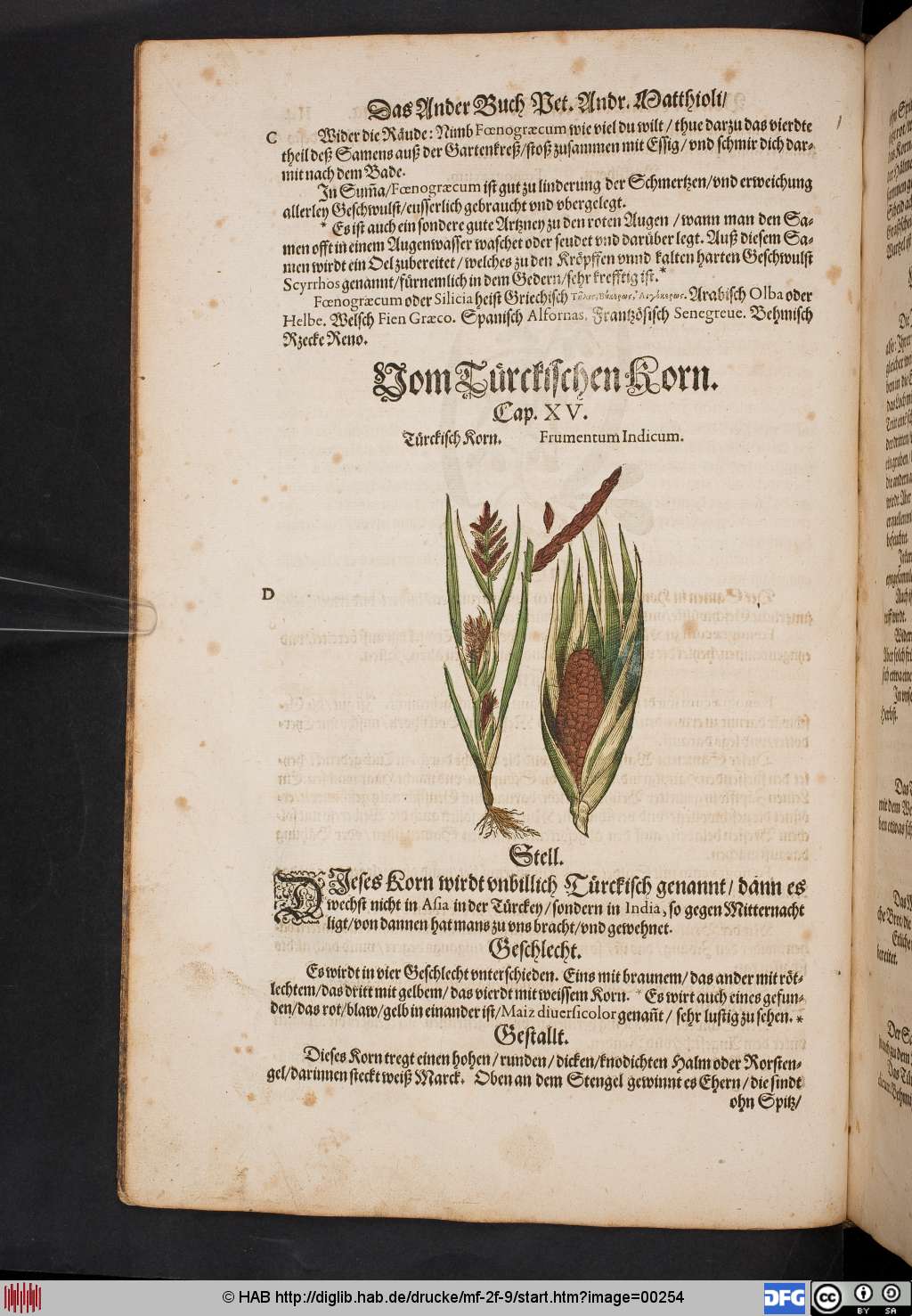http://diglib.hab.de/drucke/mf-2f-9/00254.jpg