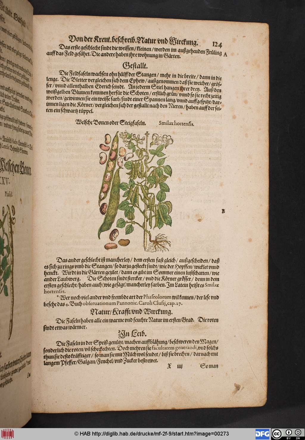 http://diglib.hab.de/drucke/mf-2f-9/00273.jpg