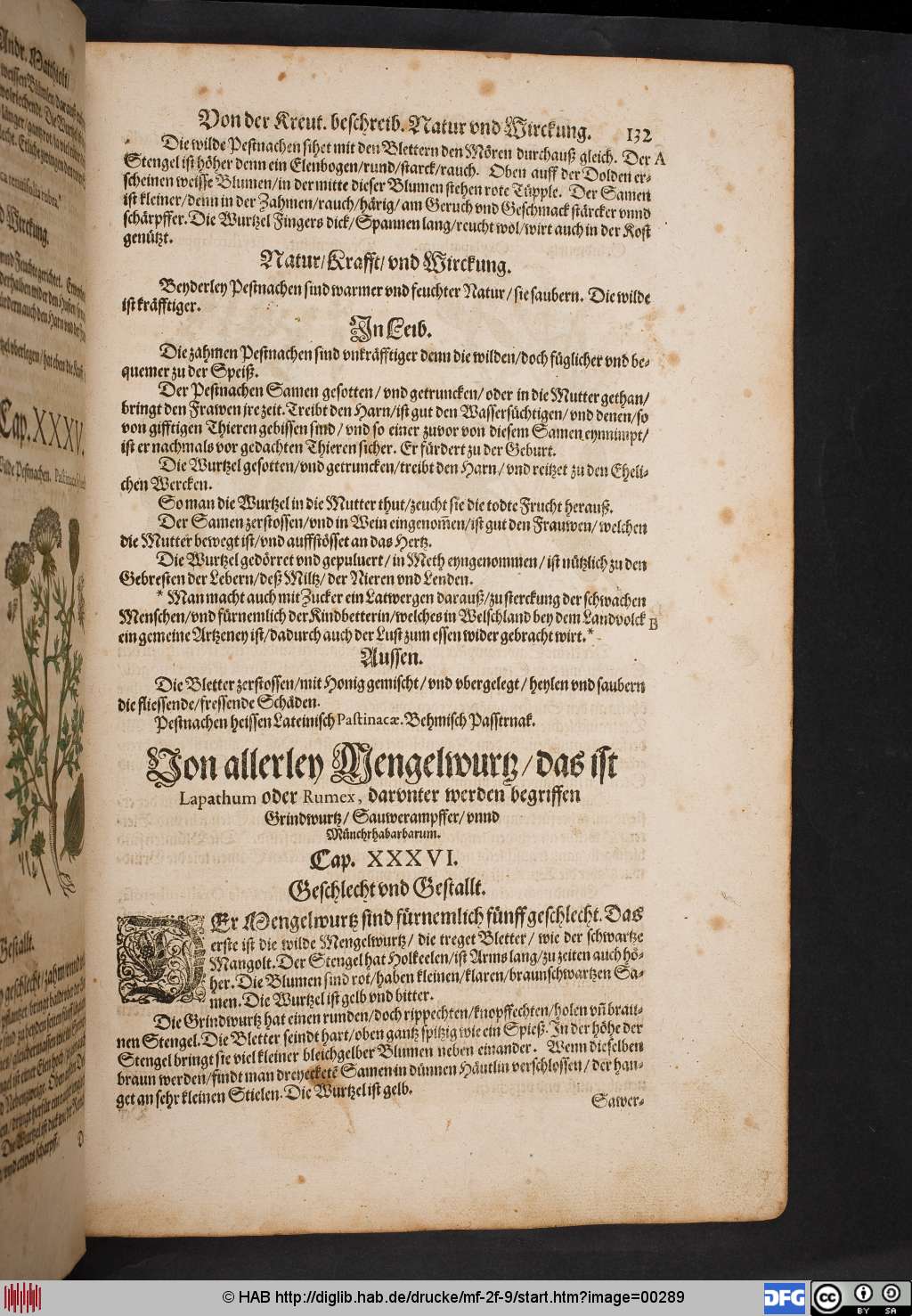 http://diglib.hab.de/drucke/mf-2f-9/00289.jpg