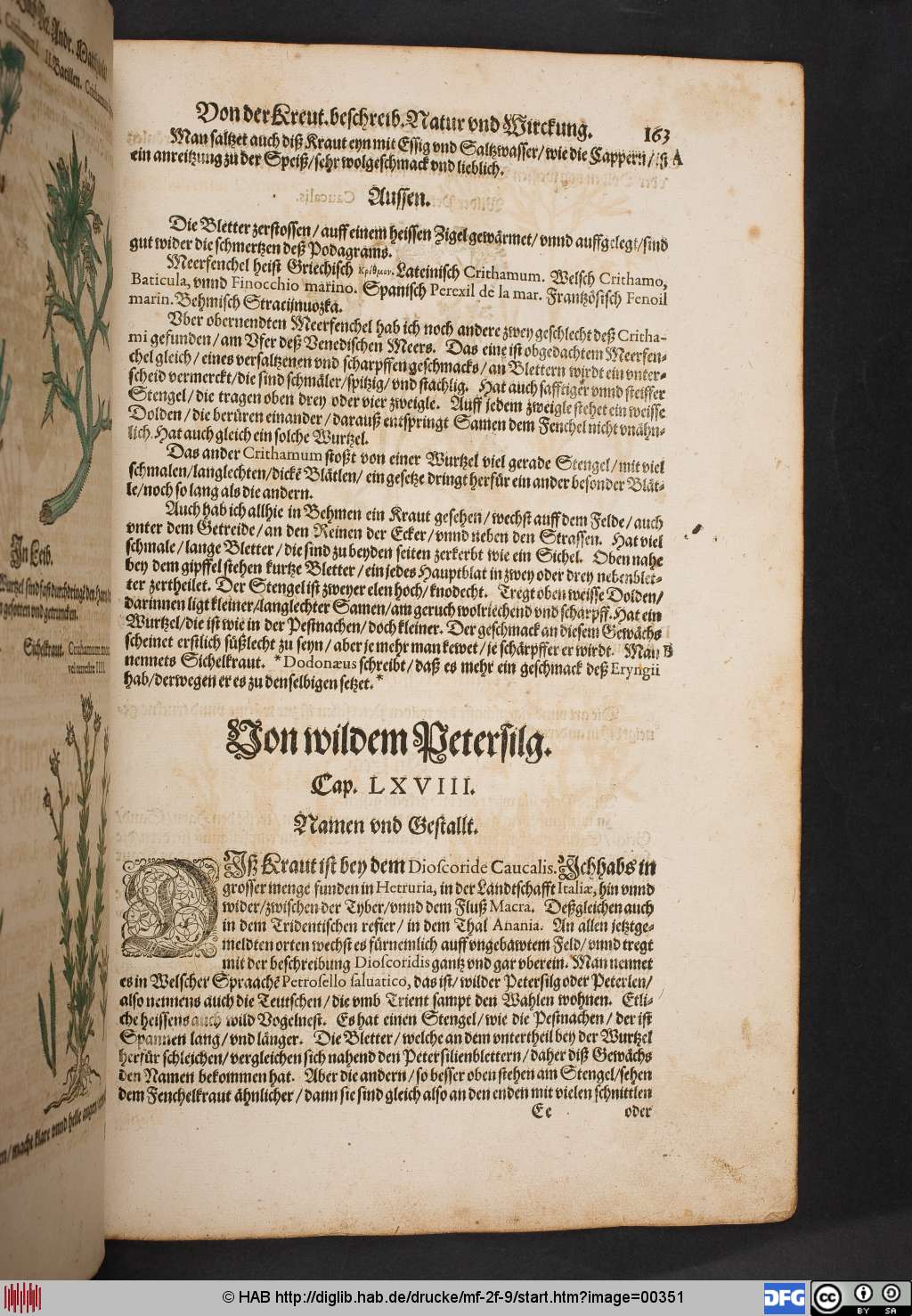 http://diglib.hab.de/drucke/mf-2f-9/00351.jpg
