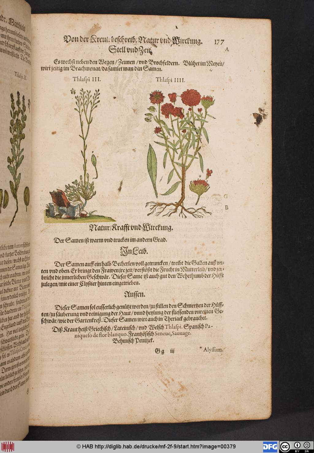 http://diglib.hab.de/drucke/mf-2f-9/00379.jpg