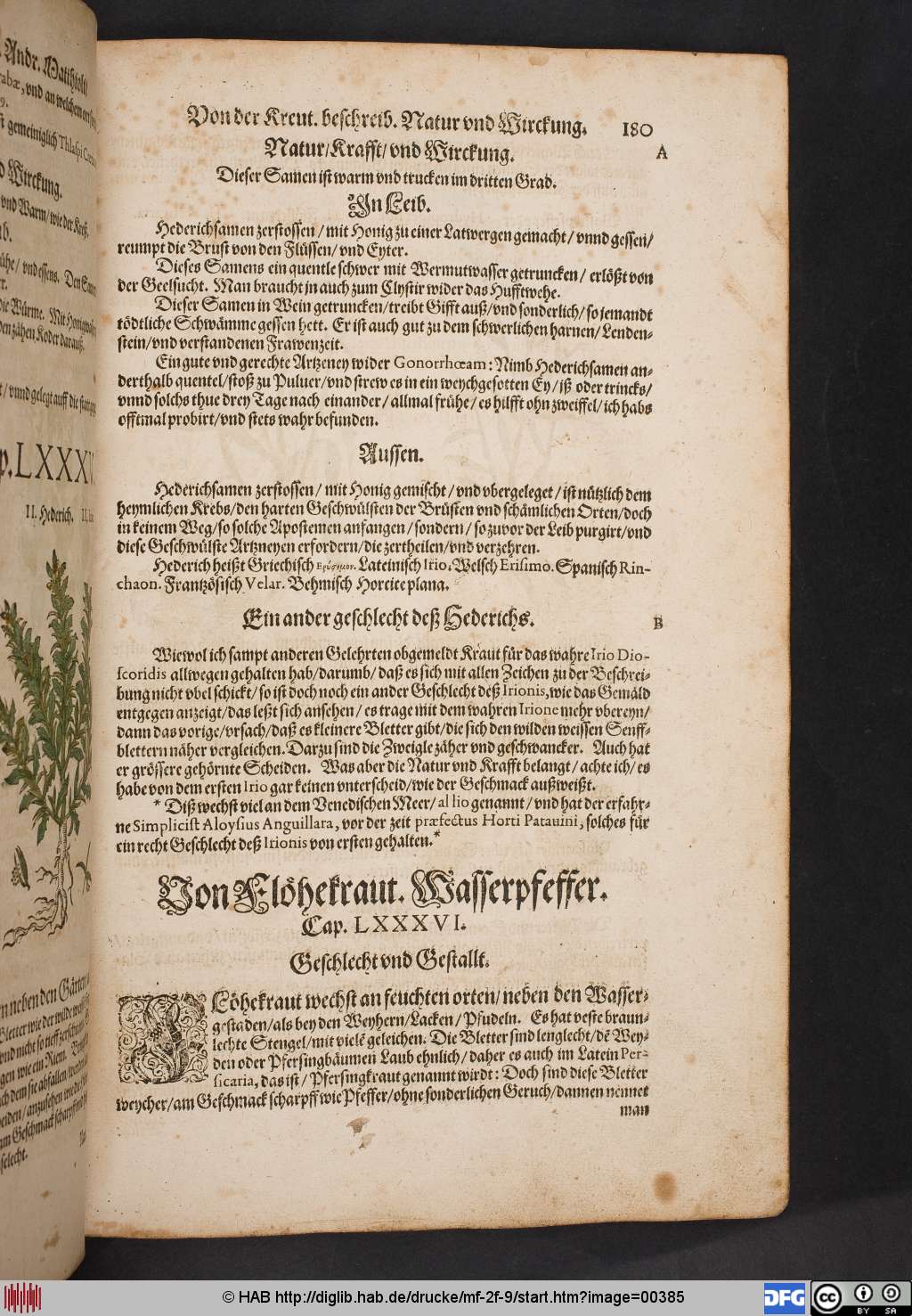 http://diglib.hab.de/drucke/mf-2f-9/00385.jpg