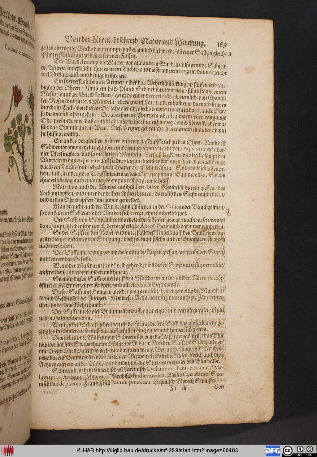 http://diglib.hab.de/drucke/mf-2f-9/00403.jpg