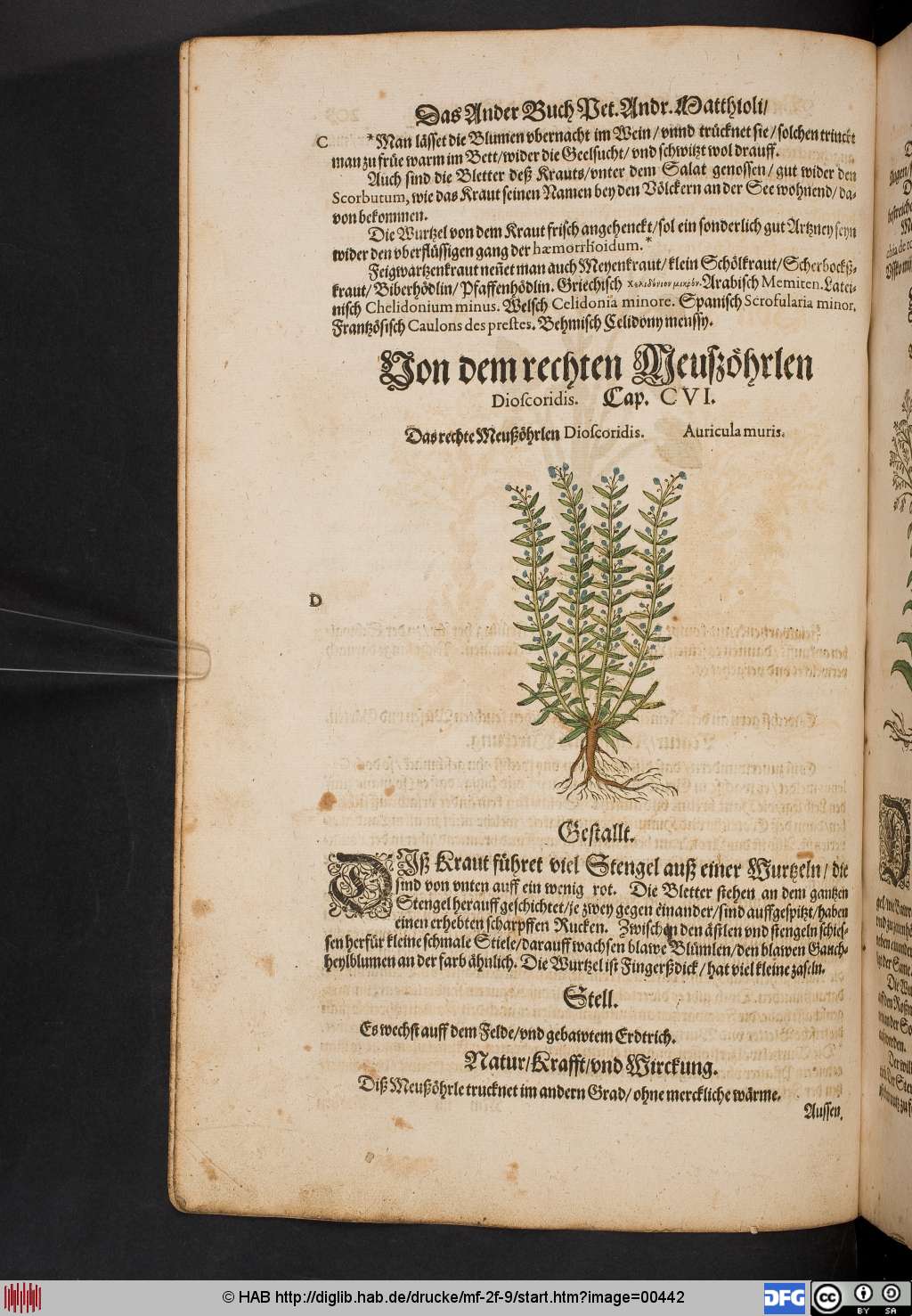 http://diglib.hab.de/drucke/mf-2f-9/00442.jpg