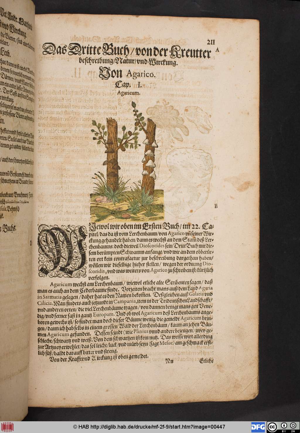 http://diglib.hab.de/drucke/mf-2f-9/00447.jpg