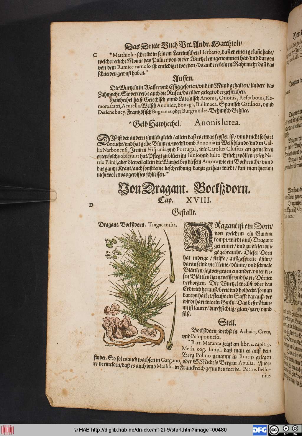 http://diglib.hab.de/drucke/mf-2f-9/00480.jpg