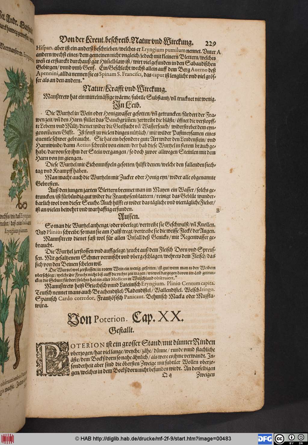 http://diglib.hab.de/drucke/mf-2f-9/00483.jpg