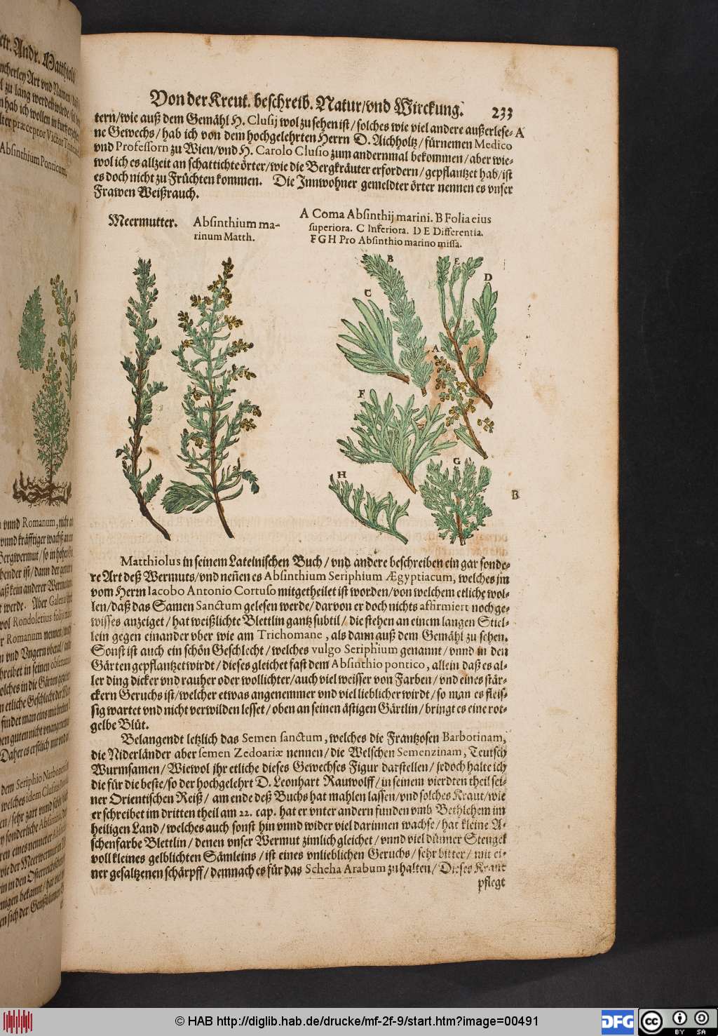 http://diglib.hab.de/drucke/mf-2f-9/00491.jpg