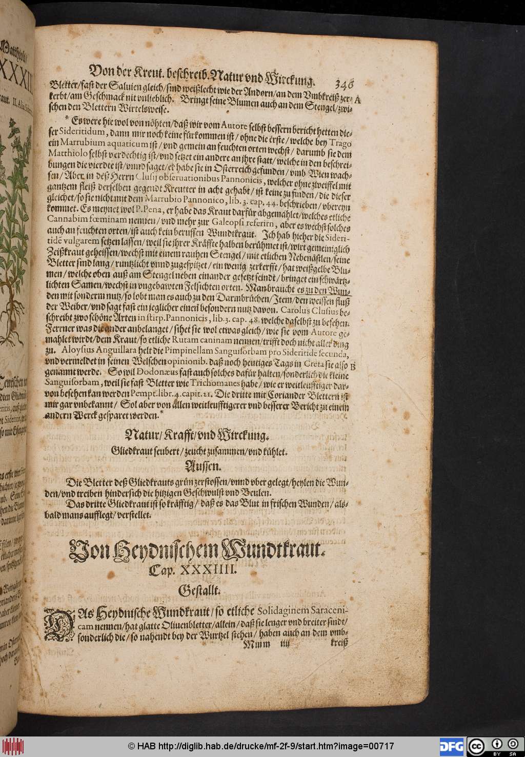 http://diglib.hab.de/drucke/mf-2f-9/00717.jpg