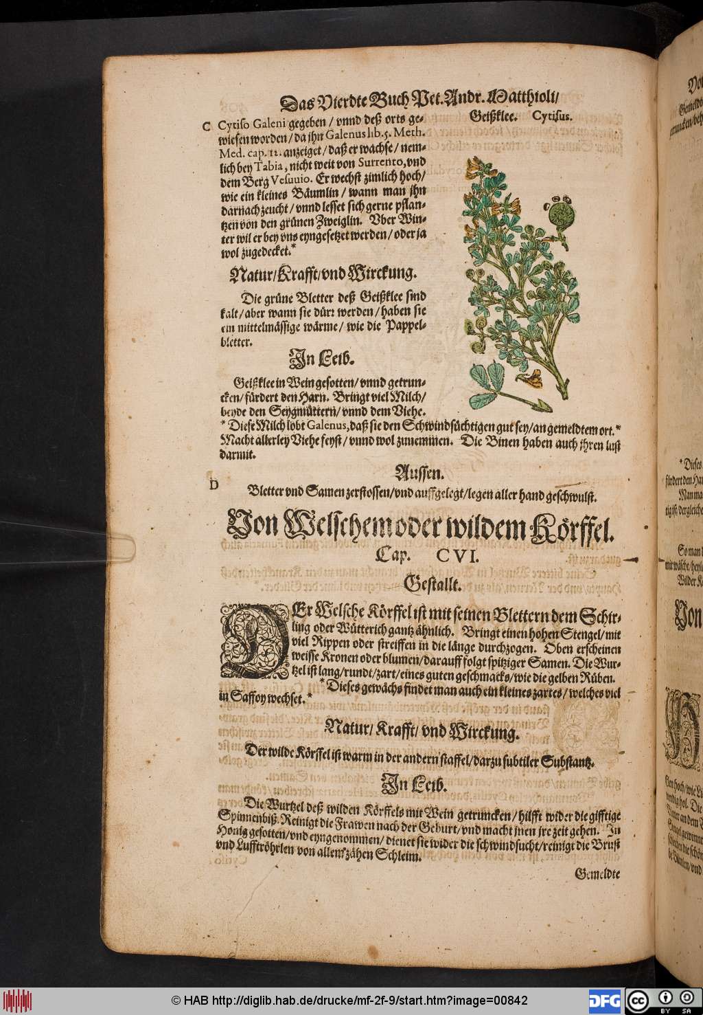 http://diglib.hab.de/drucke/mf-2f-9/00842.jpg