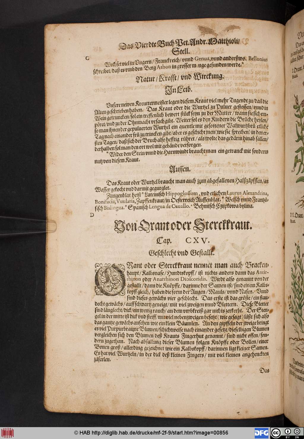 http://diglib.hab.de/drucke/mf-2f-9/00856.jpg