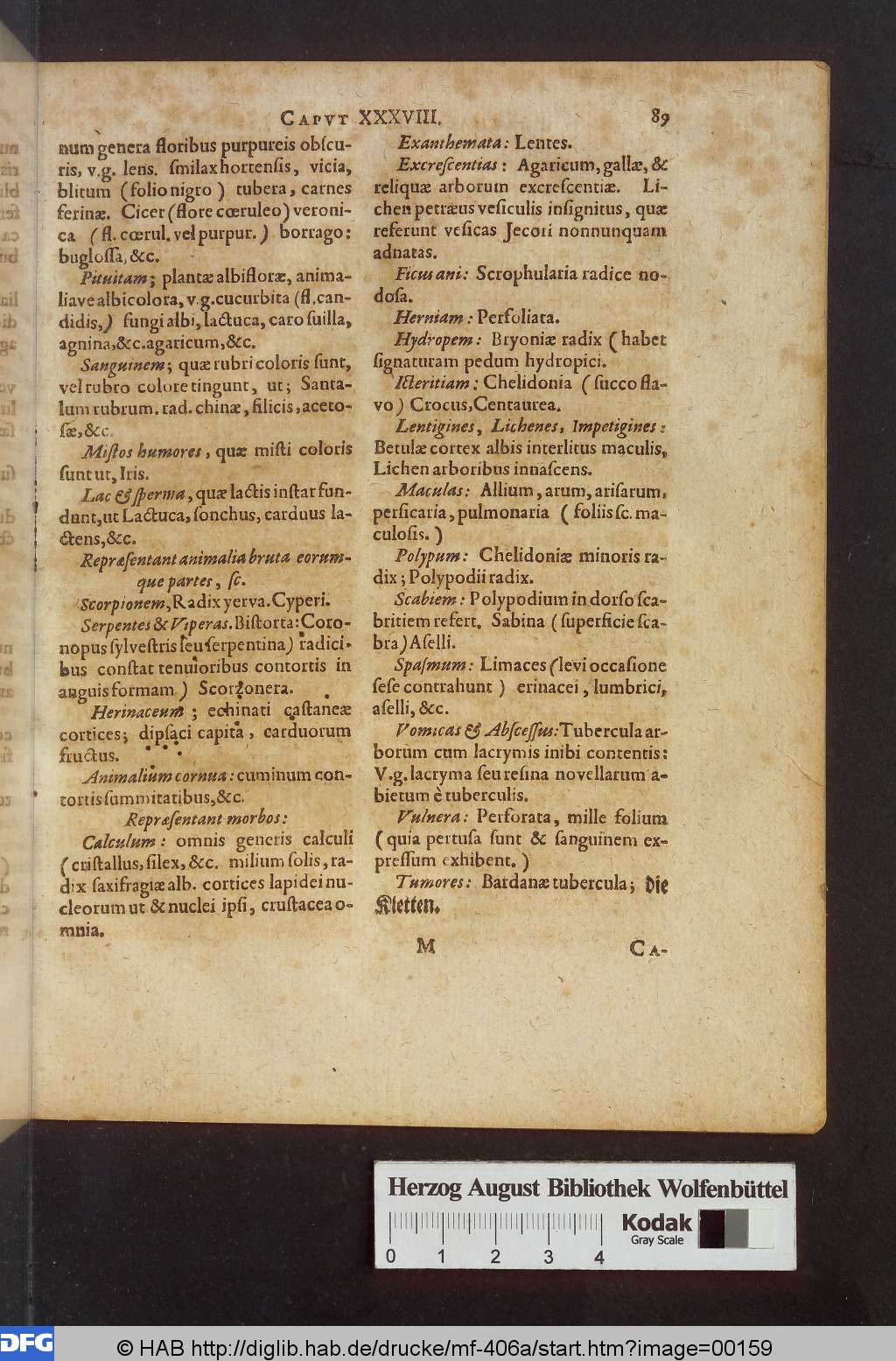 http://diglib.hab.de/drucke/mf-406a/00159.jpg