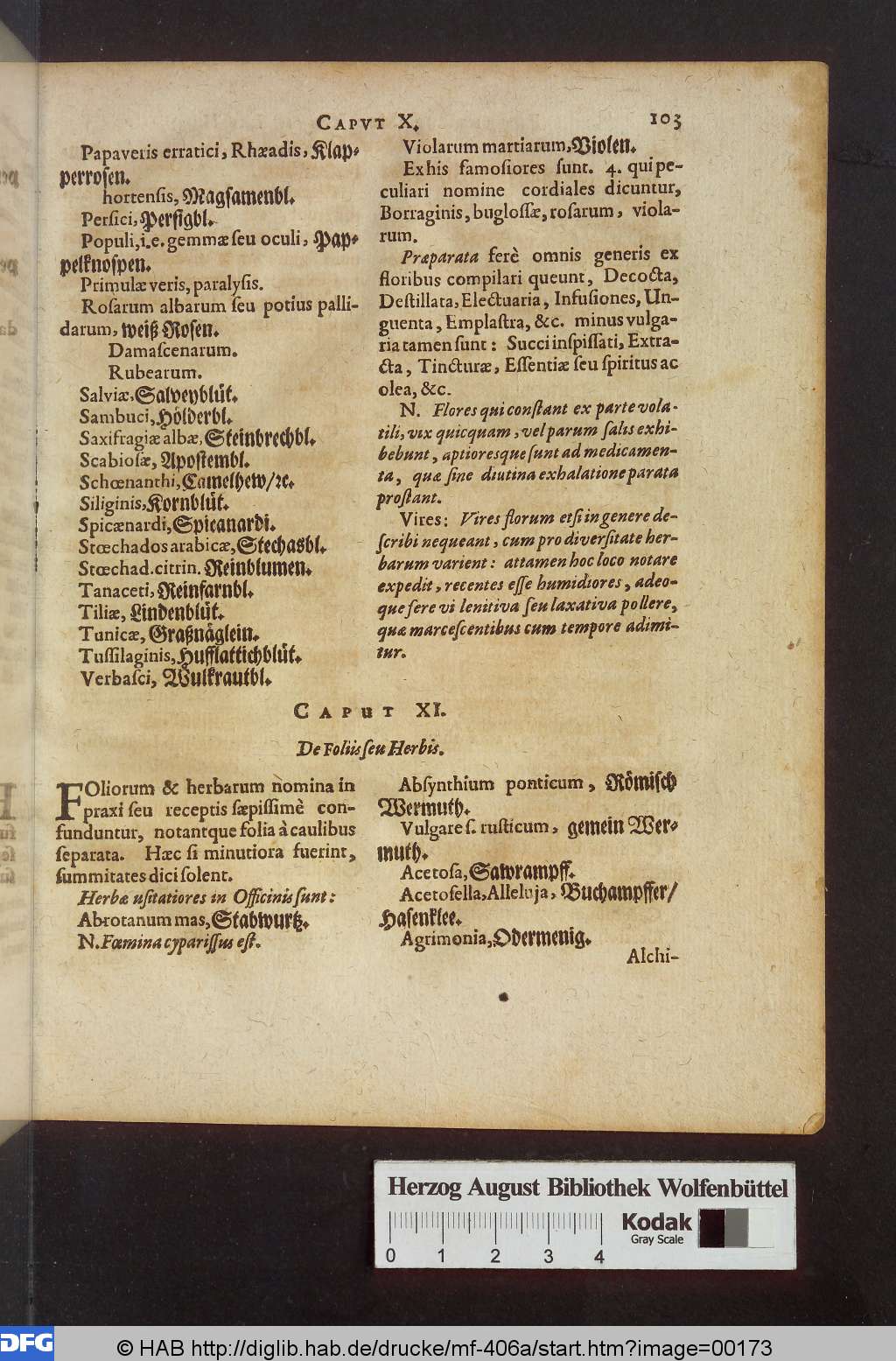 http://diglib.hab.de/drucke/mf-406a/00173.jpg