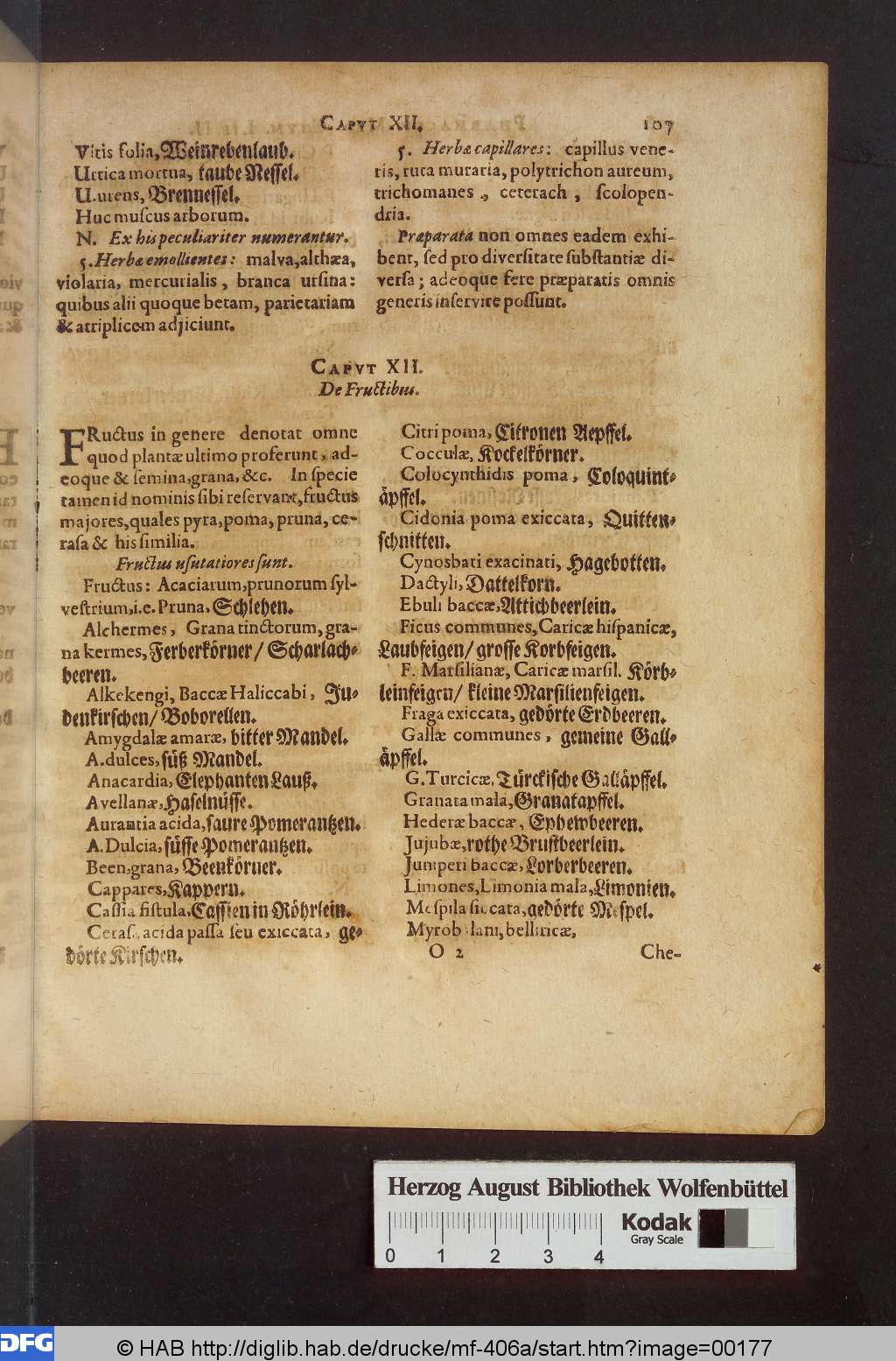 http://diglib.hab.de/drucke/mf-406a/00177.jpg