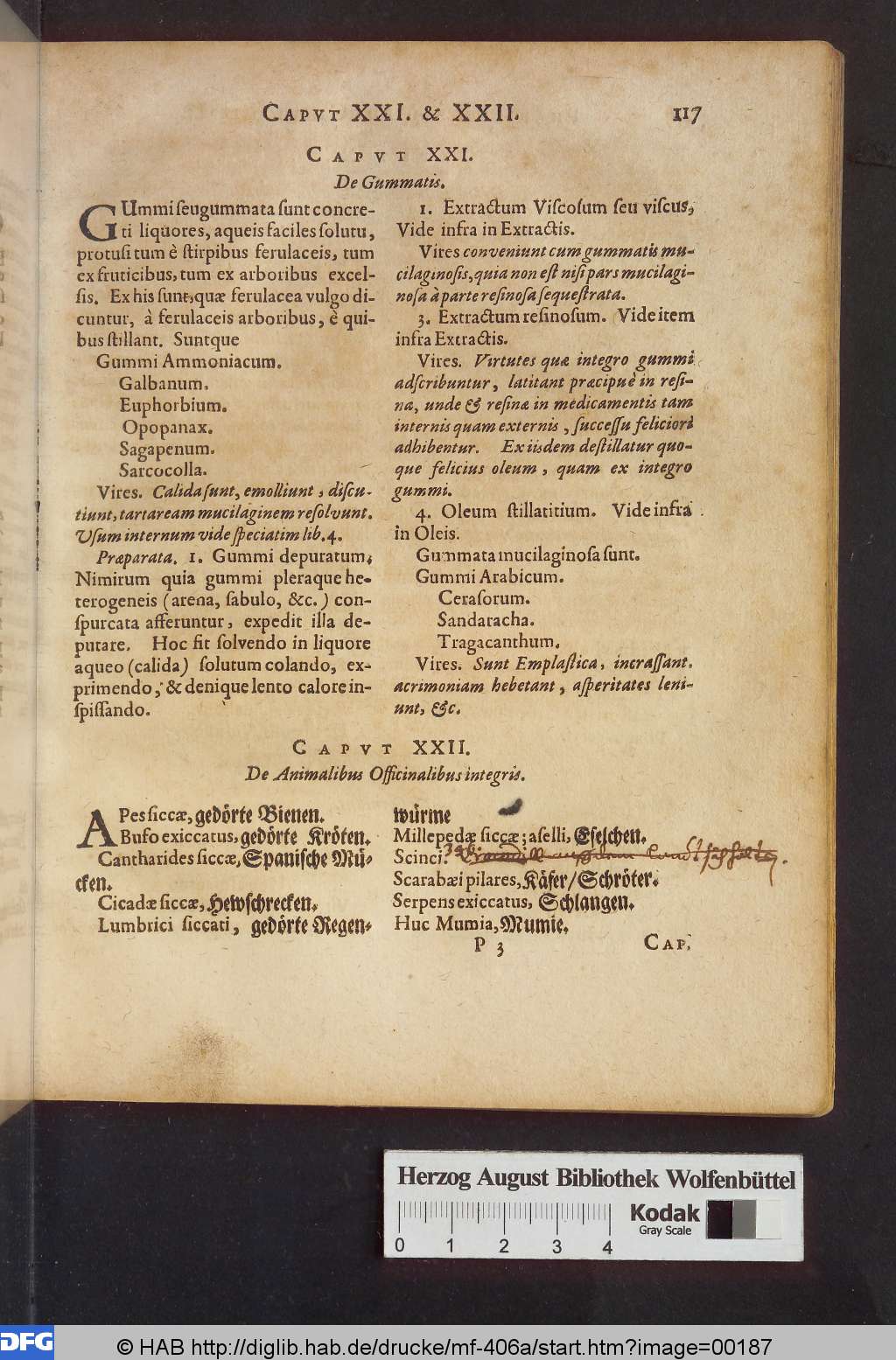 http://diglib.hab.de/drucke/mf-406a/00187.jpg