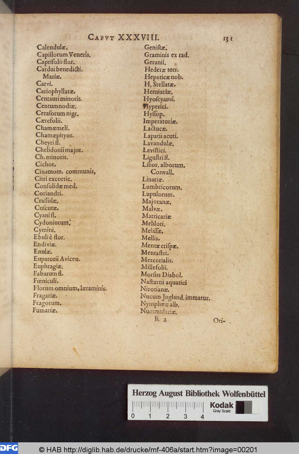 http://diglib.hab.de/drucke/mf-406a/00201.jpg