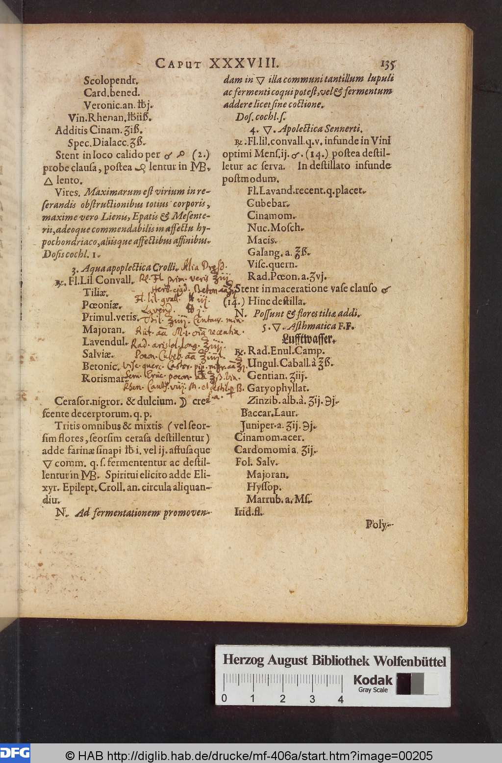 http://diglib.hab.de/drucke/mf-406a/00205.jpg