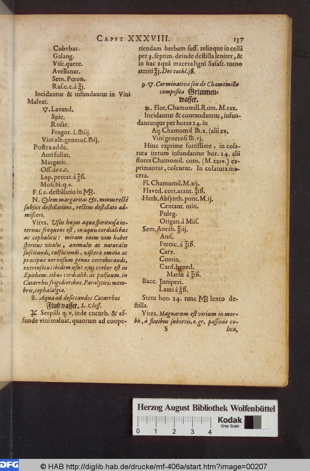 http://diglib.hab.de/drucke/mf-406a/00207.jpg