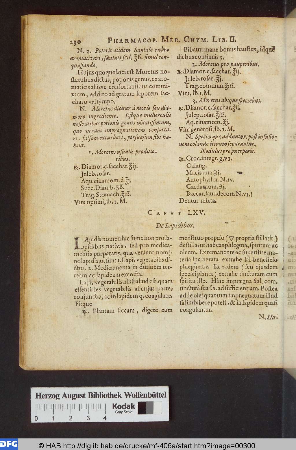 http://diglib.hab.de/drucke/mf-406a/00300.jpg