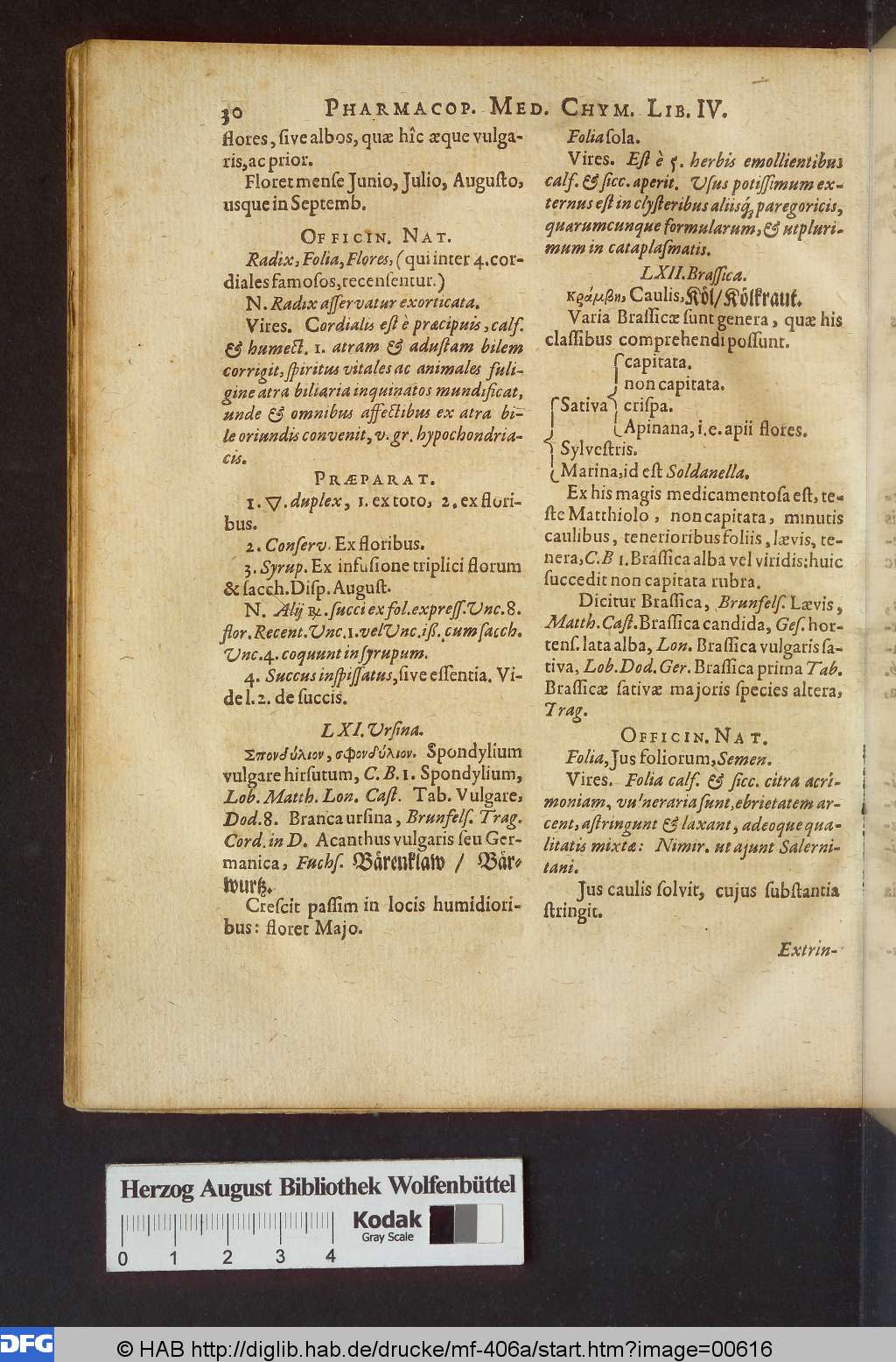 http://diglib.hab.de/drucke/mf-406a/00616.jpg