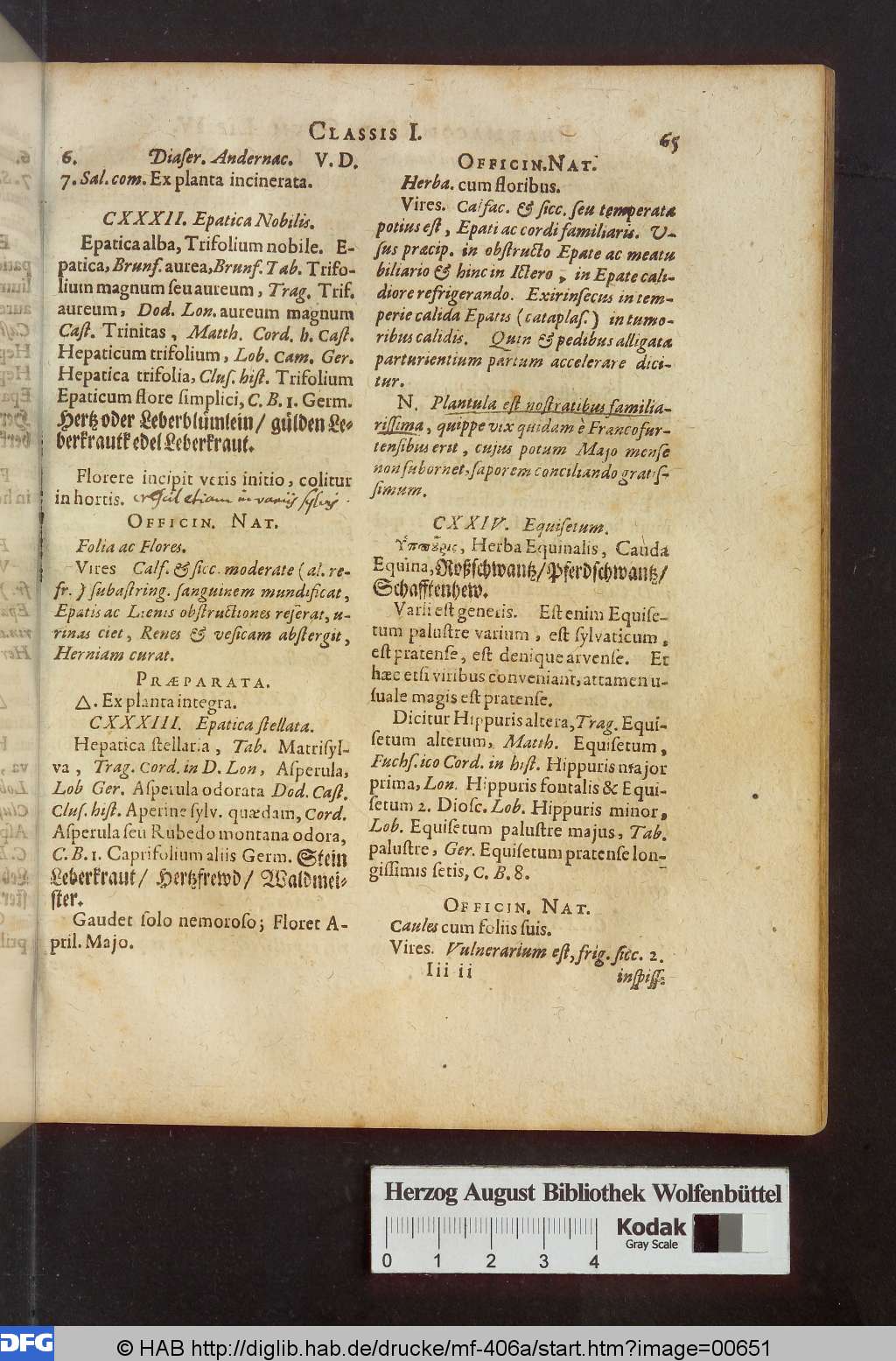 http://diglib.hab.de/drucke/mf-406a/00651.jpg