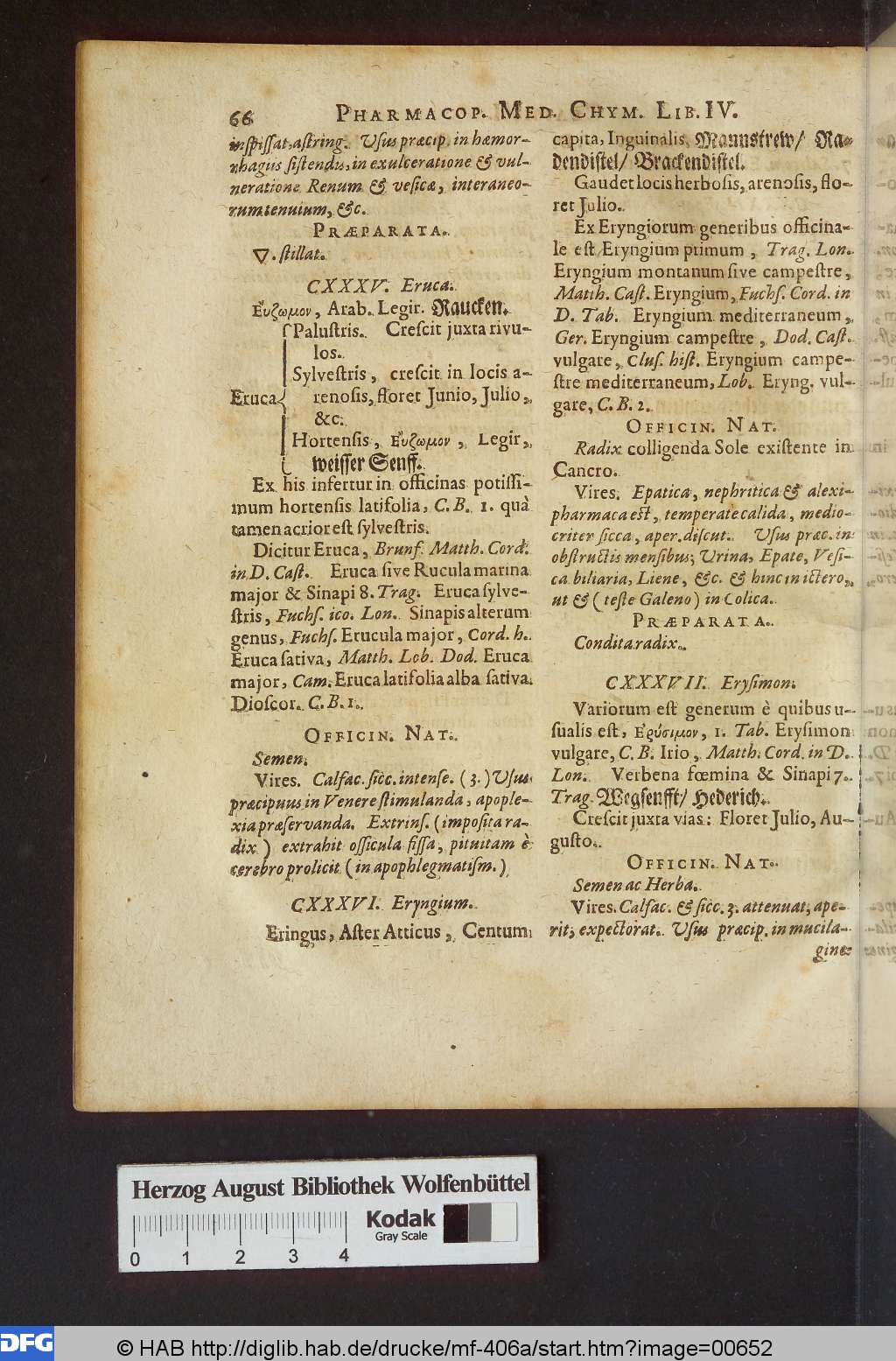 http://diglib.hab.de/drucke/mf-406a/00652.jpg